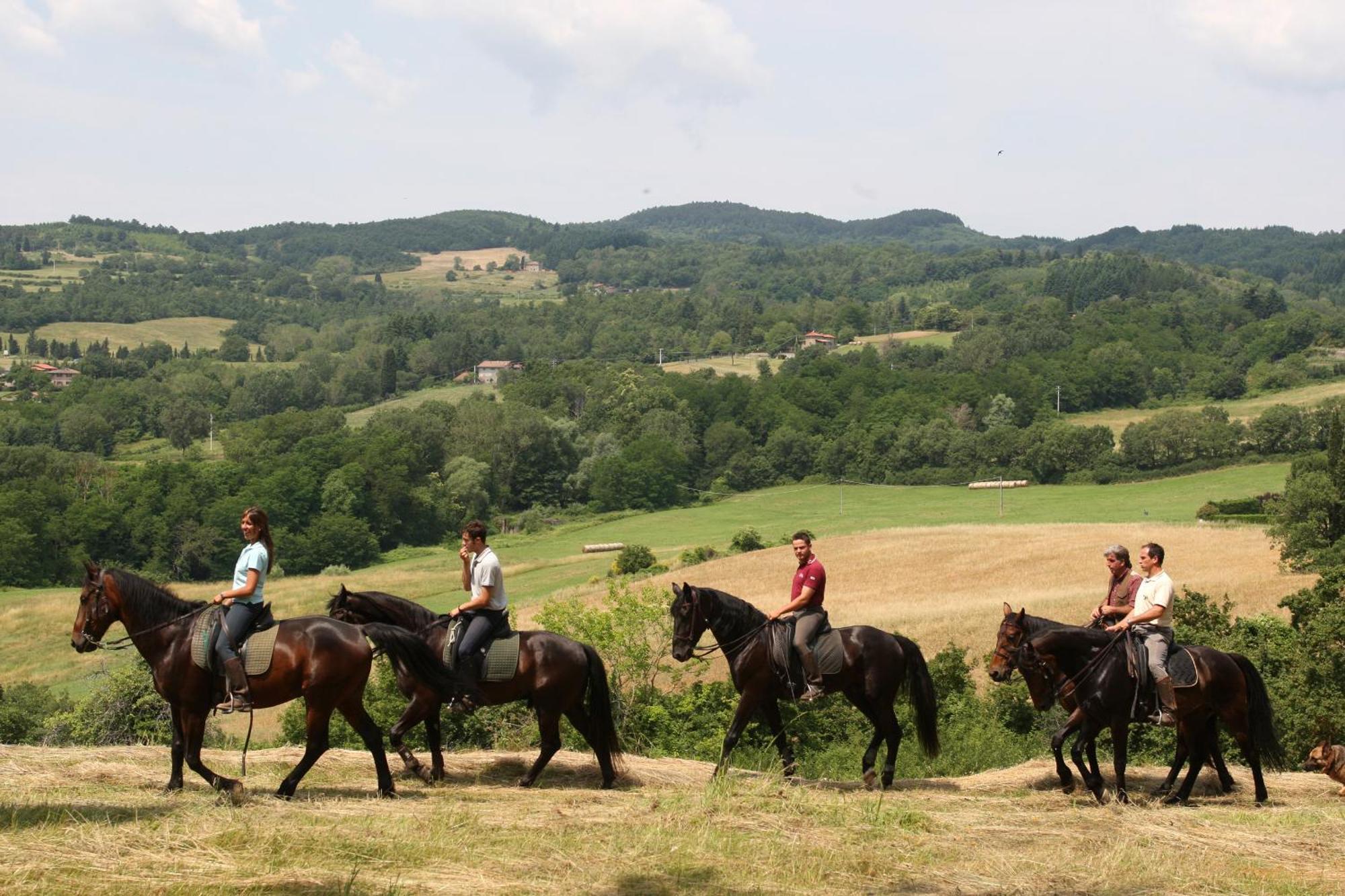Agriturismo La Forra Cavriglia Εξωτερικό φωτογραφία