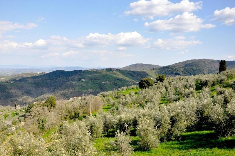Agriturismo La Forra Cavriglia Δωμάτιο φωτογραφία