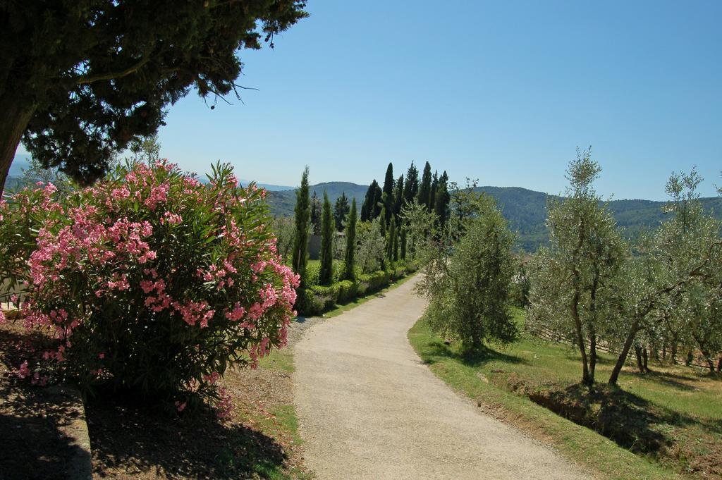 Agriturismo La Forra Cavriglia Εξωτερικό φωτογραφία